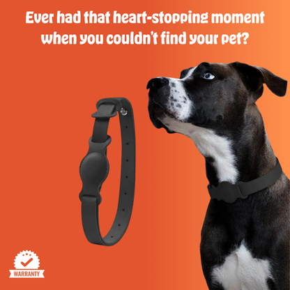 Pet Tag® – Keep Your Pet Safe, Anytime, Anywhere