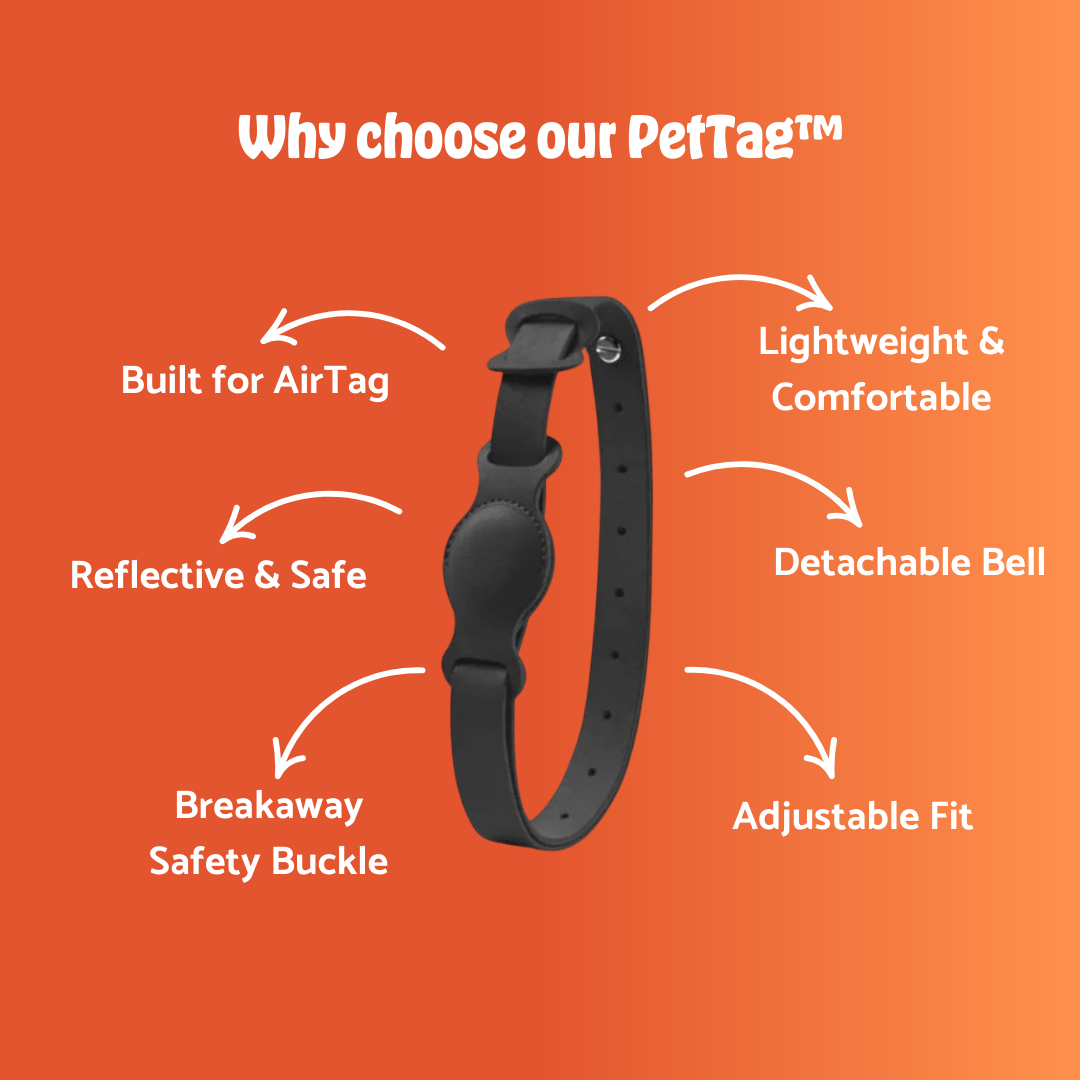 Pet Tag® – Keep Your Pet Safe, Anytime, Anywhere