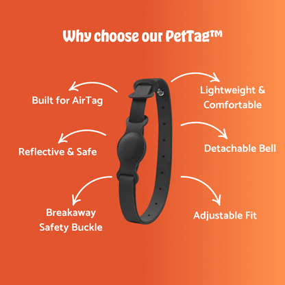 Pet Tag® – Keep Your Pet Safe, Anytime, Anywhere