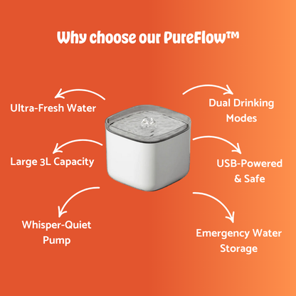 Pet PureFlow™ | Always Fresh, Always Flowing