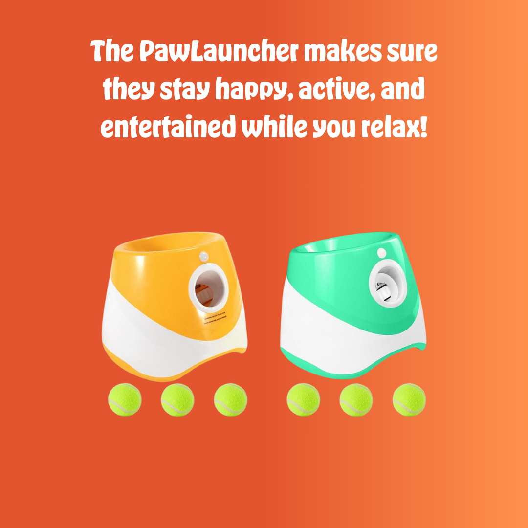 PawLauncher™ | Endless Fetch, Zero Effort