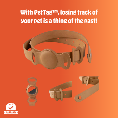 Pet Tag® – Keep Your Pet Safe, Anytime, Anywhere