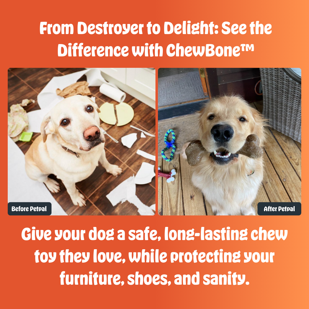 ChewBone™ | The Indestructible Bone for Power Chewers