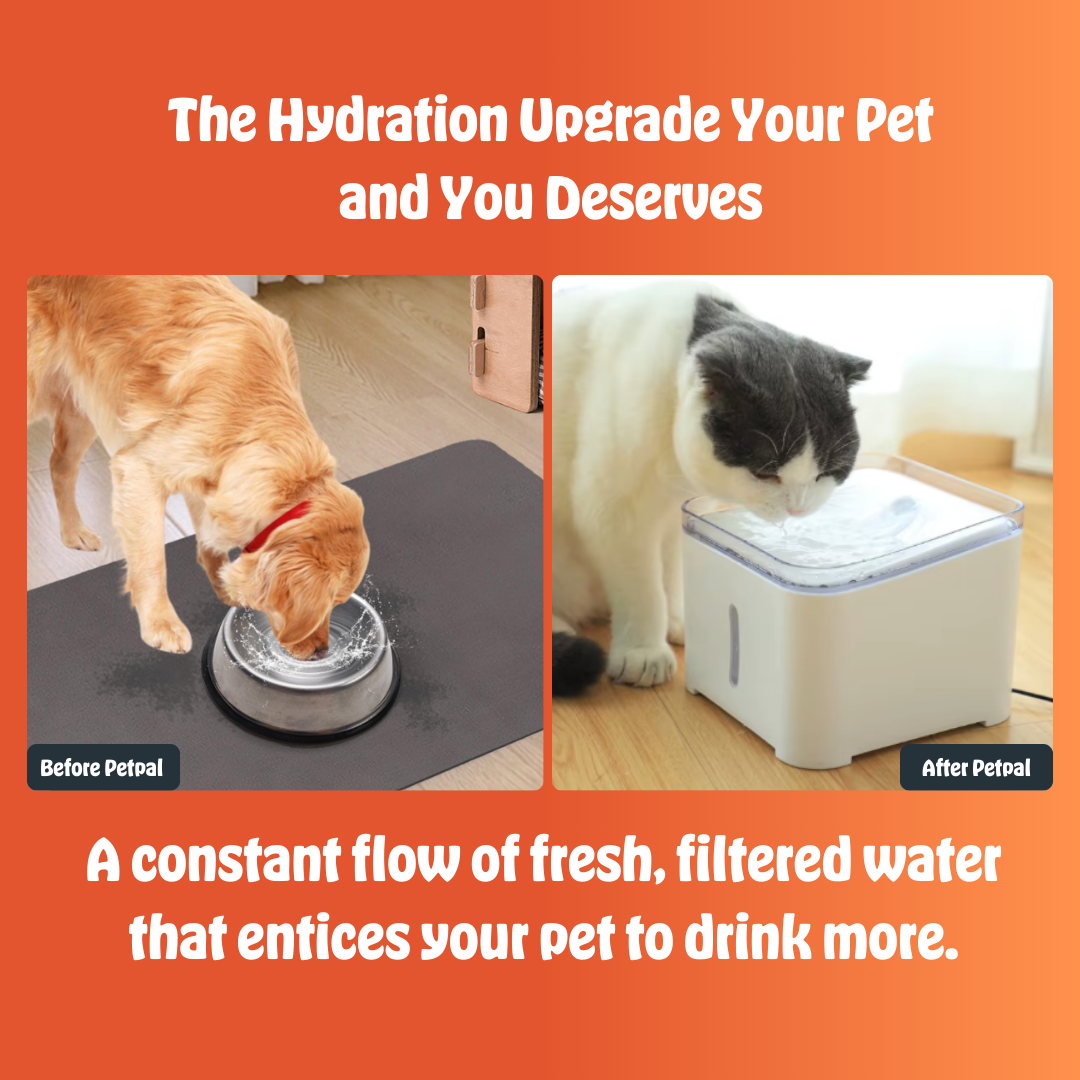 Pet PureFlow™ | Always Fresh, Always Flowing