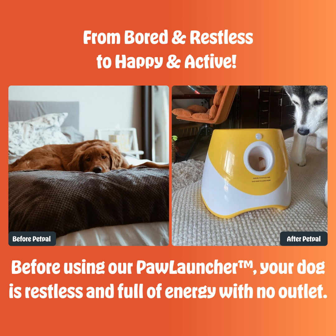 PawLauncher™ | Endless Fetch, Zero Effort