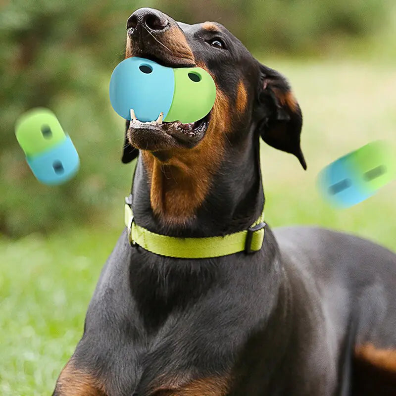 Pelota Dispensadora de Alimentos para Perros Petiche