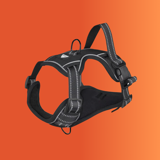 GlowGuard™ | Reflective Harness for Safe & Secure Walks