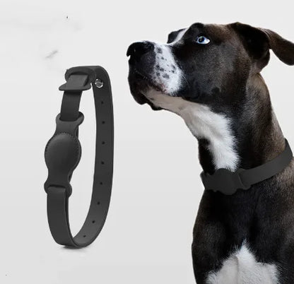 Collar de Cuero para Perros y Gatos Petiche